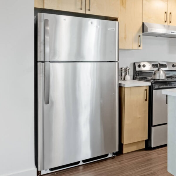 ⁦Double Door Mini Fridge with Freezer for Office or Dorm with Adjustable Remove Glass Shelves⁩ - الصورة ⁦2⁩